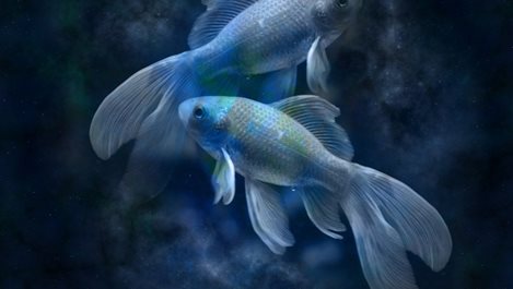 Риби - хороскоп 2017-а
