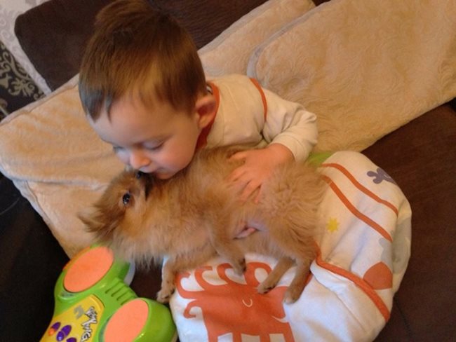 Бебето Иван си играе най-много с 6-месечното куче. Всяка сутрин става и първата му работа е да я нацелува.