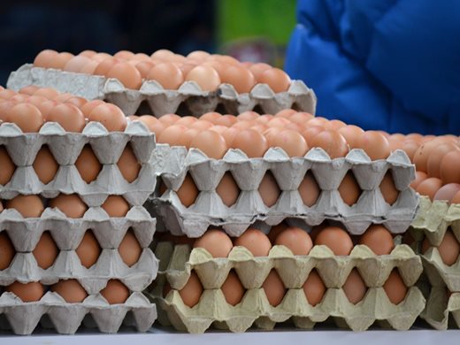 Откриха още 250 000 яйца с фипронил