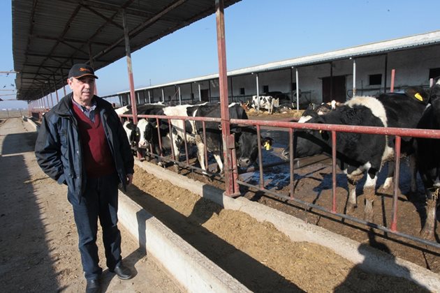 Според фермера Панайот Тодоров положението е трагично за много от млекопроизводителите ни