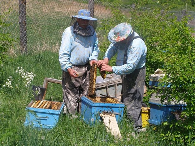 С подхранване на пчелните семейства с качествени хранителни продукти след последната главна пчелна паша - август – началото на септември, се гарантира благополучно зимуване на семействата