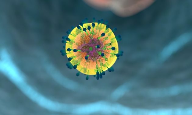 Ключов компонент от имунната система - Т-клетките, които реагират при борба с инфекцията от основната версия на новия коронавирус, защитават и срещу трите най-тревожни засега негови разновидности