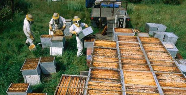 Повечето пчелари у нас, дори и между нейните бенифициенти, смятат, че в този си вид програмата е безперспективна